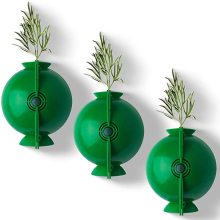 High Pressure Box Globe Grafting Plant Rooting Growing Kit