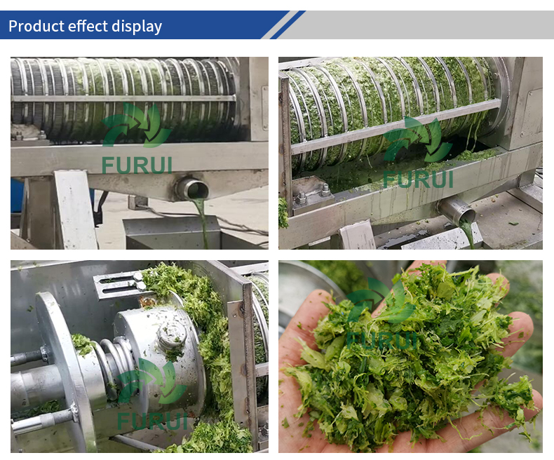 Juice making Machine Fruit Juice Wheat Grass Juice Press Machine Plant