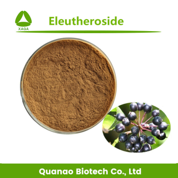 Pure Siberian Ginseng Extract Eleutheroside Powder 0.8%