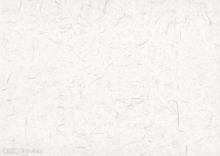 polymer companies in india