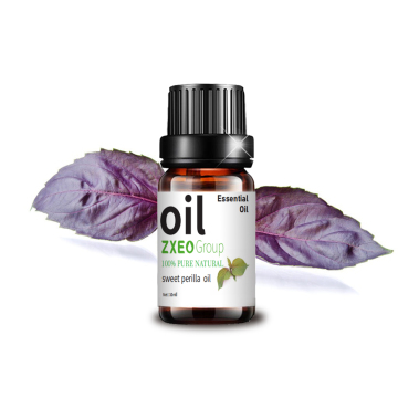 Perilla Leaf Oil Wholesale Sweet Perilla Essential Oil