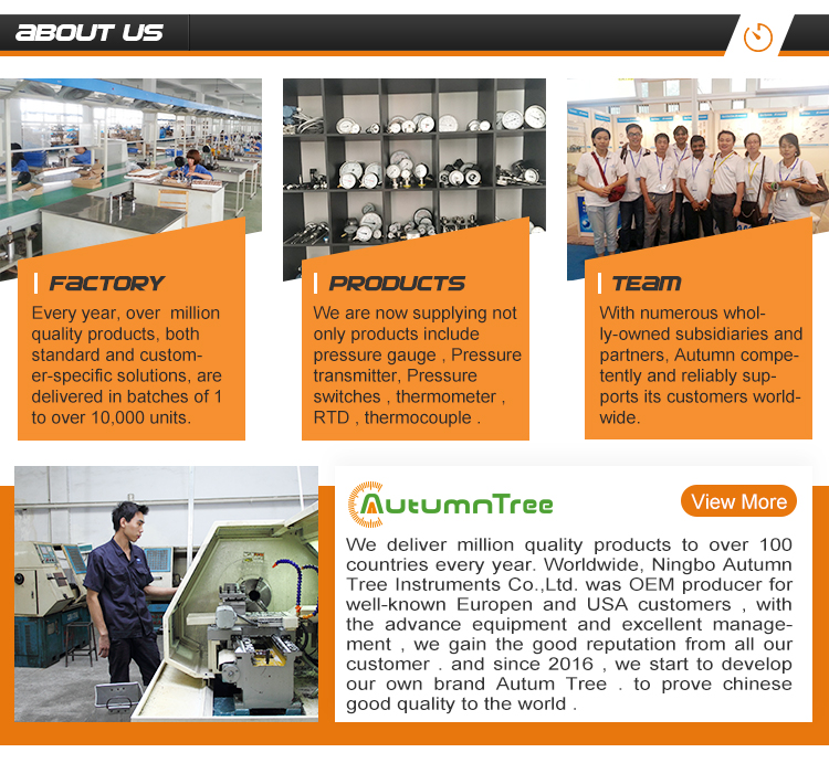 Temperature Sensor Module/Temperature Transmitter Module,Module