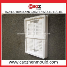 Plastic Injection Turn Over Box/Folding Crate Mould