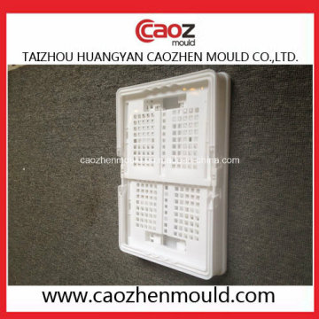 Plastic Injection Turn Over Box/Folding Crate Mould