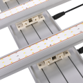 800w LED LED-groeilicht voor planten