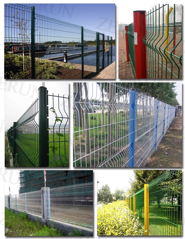 4mm PVC powder coated garden curved welded iron wire mesh fence