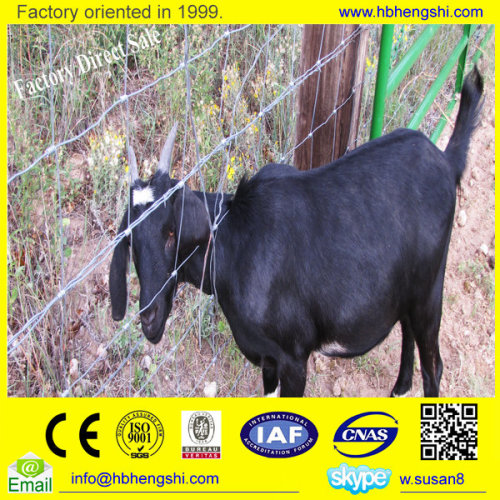 Cheap factory ISO&SGS sheep & goat woven wire field fence