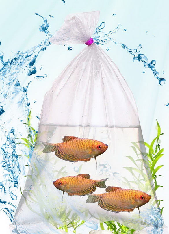 Clear Reusable Mesh Produce Flat Plastic Recycling Shopping Bags