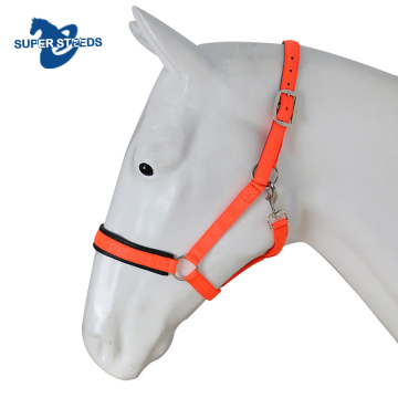 Equestrian Leather Rope Halter and PVC Equipment