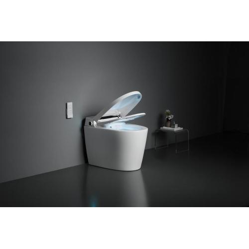 Sanitary Ware Floor Mounted One-Piece Intelligent Toilet