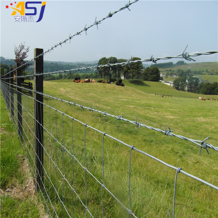 electro galvanized barbed wire cattle farm fencing