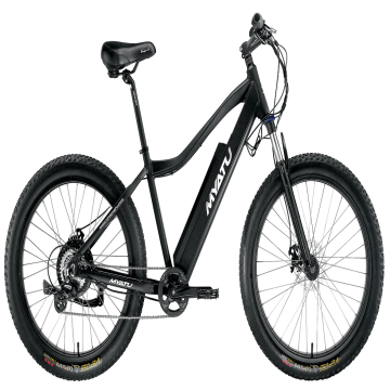 Men's cross country bike