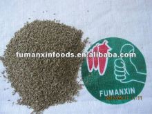 cumin seeds green