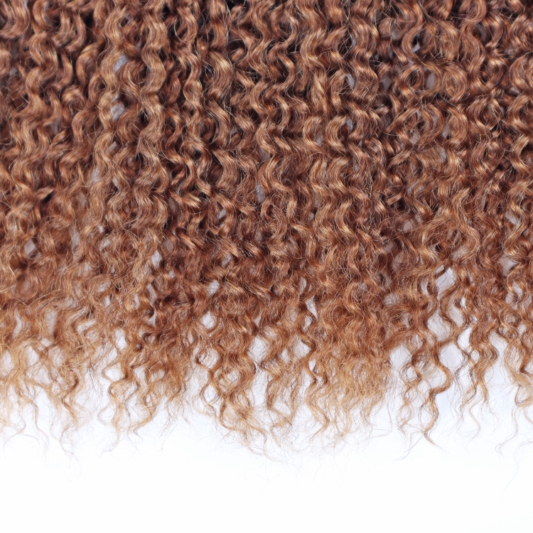 T1b/30 Color Jerry Curly Brazilian Hair Bundles With Closure Vendors Cuticle Aligned Virgin Human Hair Wholesales Extension