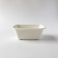 Contenitore bagasse della culp da 1000 ml