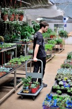 Folding four wheel wheel and tools usages serveice trolley