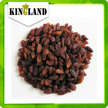 Organic sultana all types of dried red raisins