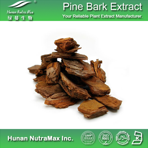 High Quality Pine Bark Extract (95% proanthocyanidin)