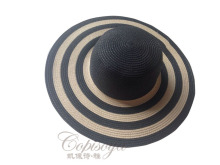 2014 fashional paper braid simple summer hats