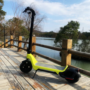 Último diseño 48V Scooter eléctrico fuera de la carretera