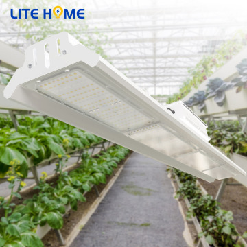 200 W Full Spectrum LED -Pflanze wachsen Licht