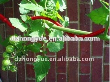 pvc coated garden spiral tomato stakes