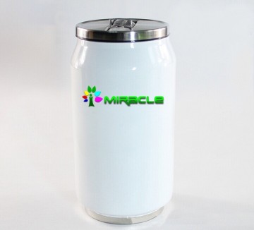 450ml Stainless Steel Sublimation Cola Can