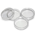 Laboratory Plastic Petri Dish Sterile dish mould