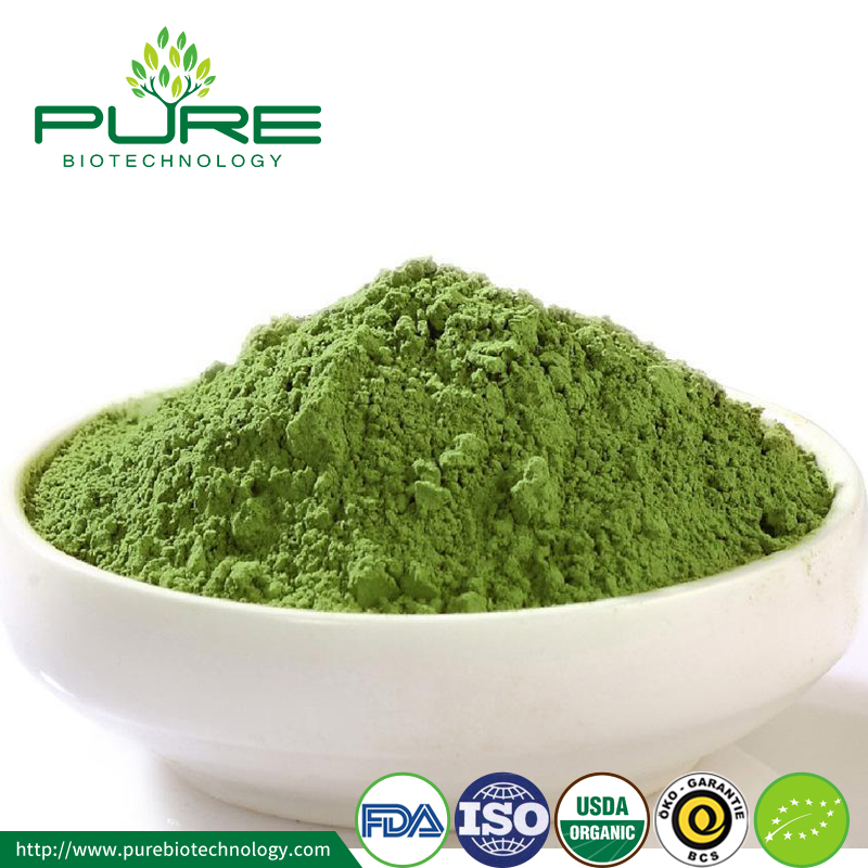 انخفاض سعر مسحوق الشاي ماتشا الأخضر Low Price Matcha Green Tea Powder