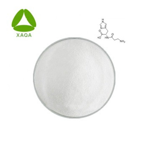 Anti-oxydation anti-oxydant 99% en L-carnosine poudre 305-84-0