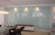 Custom Painted Decorative Glass Panels Screen Print For Fur