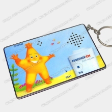 Key Chain,Keychains Digital Keychain Music Keychains