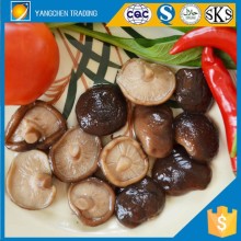 All kinds of cans processed food products canned shiitake mushroom