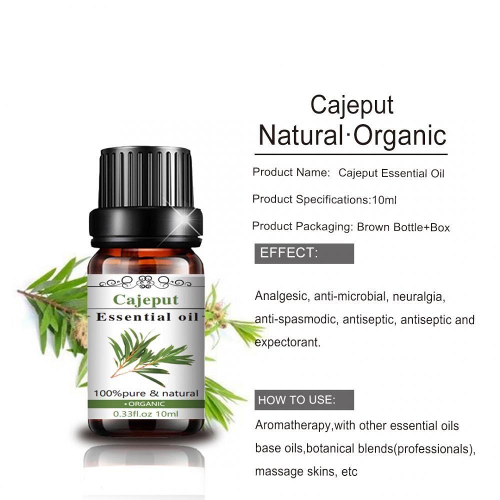 100% Pure Natural Organic Aromatherapy Cajeput Essential Oil