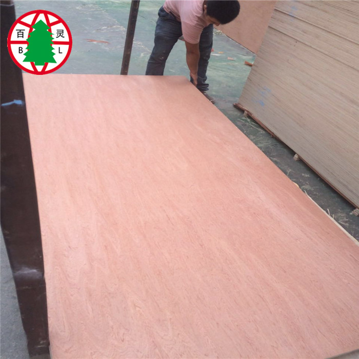 Veneer Plywood 2