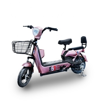 Popular Cheap Electric Bicycles from Best Selling Chinese Factories