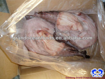 queue de lotte de la mer