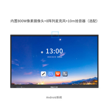 Really 55 inch LCD interactive whiteboard
