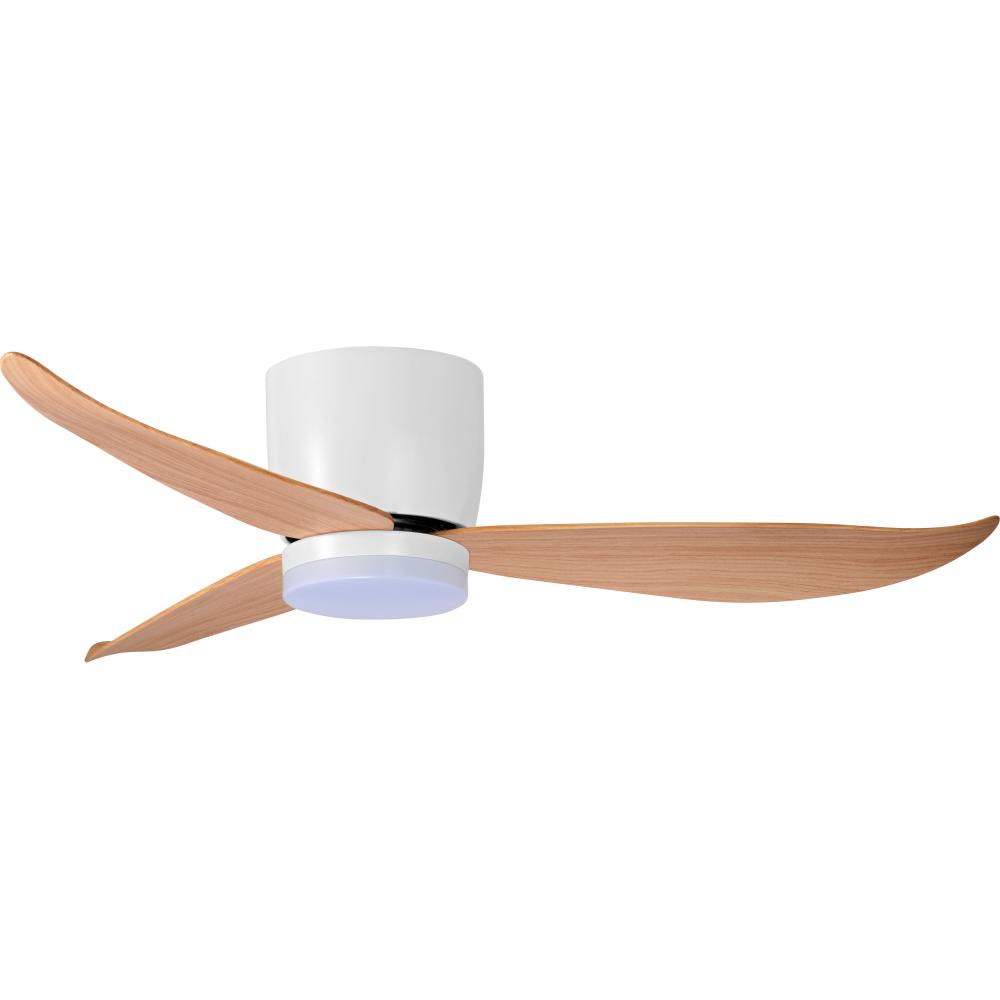 Ventilation ceiling fan for bedroom