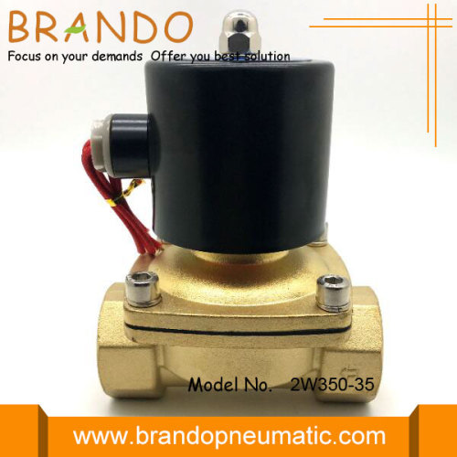 2W350-35 Buharlı Pirinç Solenoid Valf