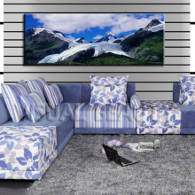 Custom Images Print Onto The Canvas, Home Decoratives