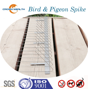 Medium Stainless Steel Pigeon Spikes