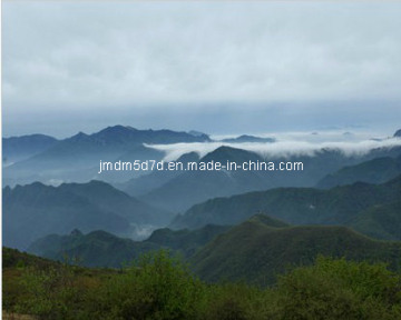 Jmdm-Immersive Virtual Tour Museum Cinema