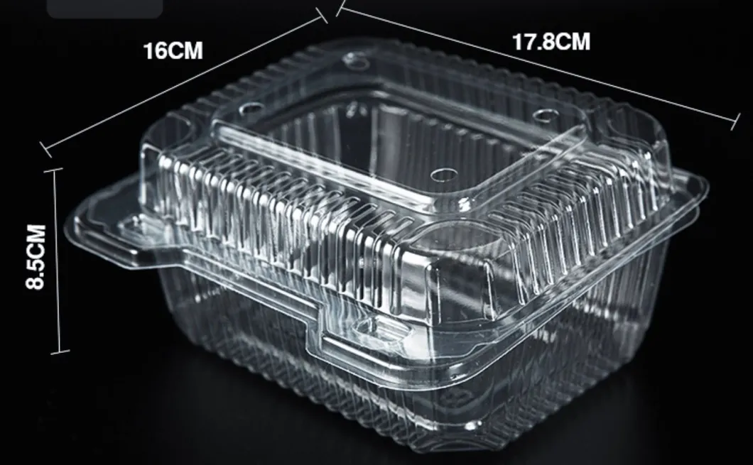 Pet Clear Plastic Compartment Take Away Salad Food Container Tray 5