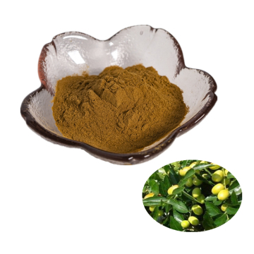 Manufacturer Semen Sterculiae Lychnophorae Extract Powder/Pang Da Hai Extract/Malva Nut Extract