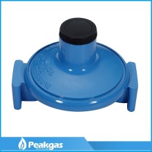 China Manufacturer Low Pressure LPG Cylinder Regulator