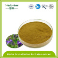 Ratio 10:1 contained flavonoid Scutellariae Barbatae extract