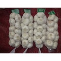 2020 Pure White Garlic 1Kg Beutel