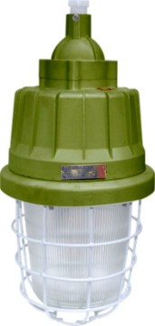 Flameproof Exd Explosion-proof Lamp 250W