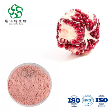 Pomegranate Juice Concentrate Powder Factory Price Wholesale